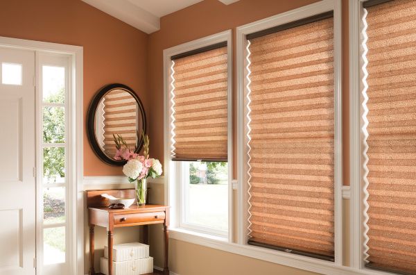 Pleated shades bring privacy and style to Scottsdale AZ and Boerne TX home entryway
